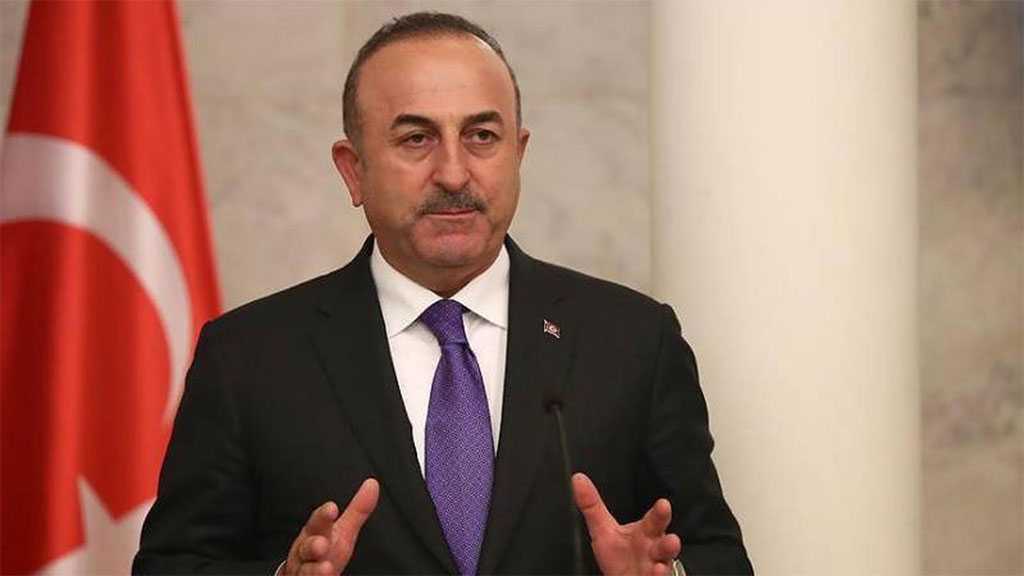 Turkey Unable to Abandon Russian Gas Shortly - FM