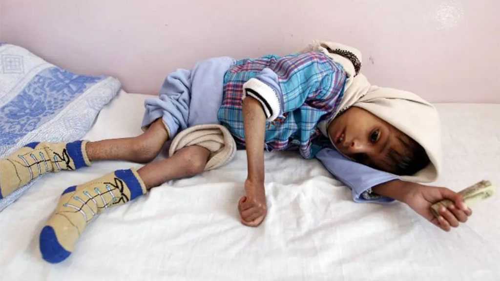 US Congresswoman: Yemen Suffering due to Saudi War, Blockade; Not Ukraine Invasion 