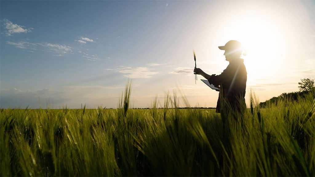 FBI Warns Cyber-attacks ‘Could Impact World Food Supply’