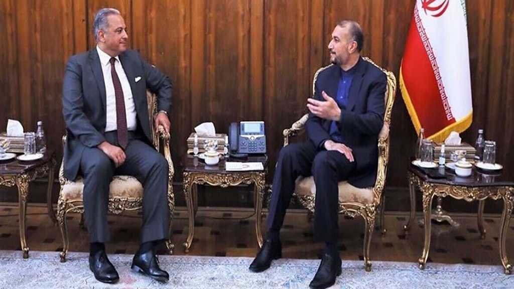 Iranian FM Highlights Lebanon’s Special Place in Foreign Policy of Iran