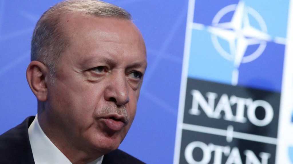 Turkey Against Sweden, Finland in NATO