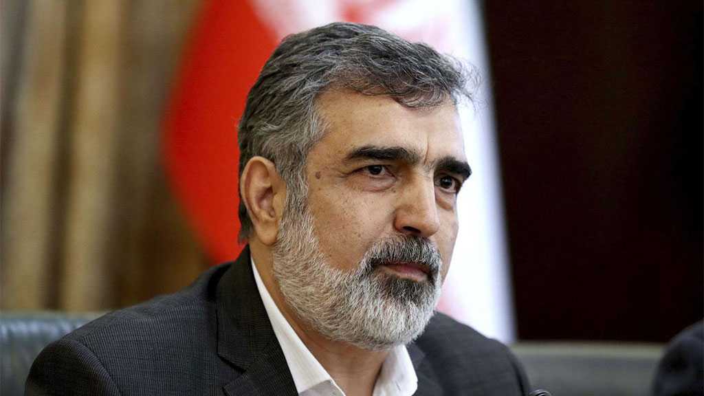 Iran, Russia Consulting on Developing Bushehr Nuclear Plant - AEOI