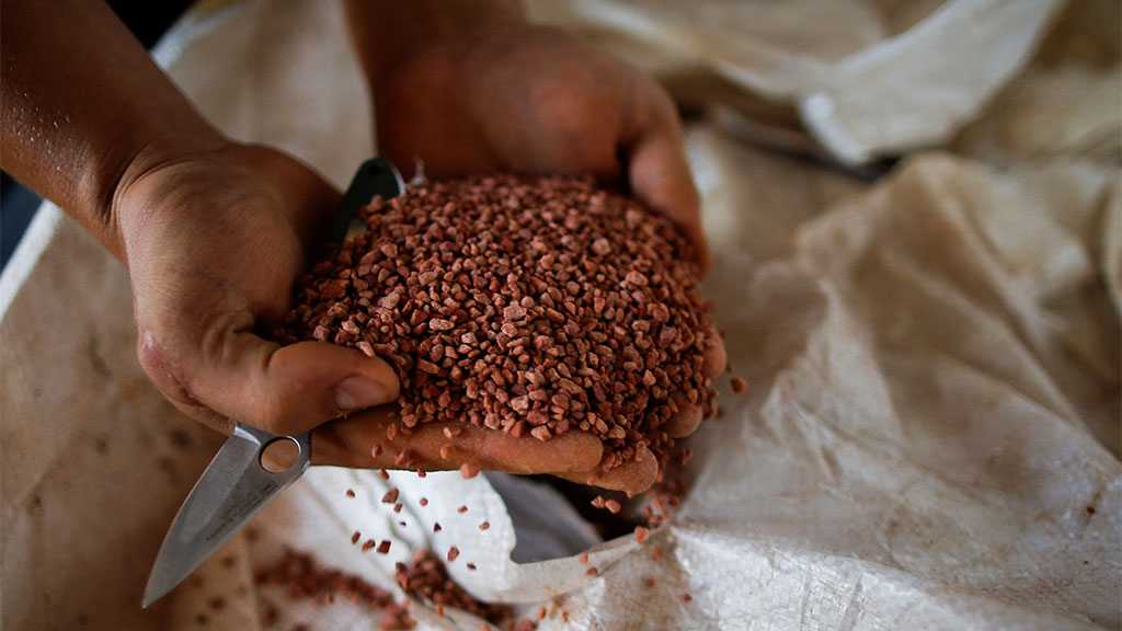 US: Global Food Crisis Not Linked to Sanctions