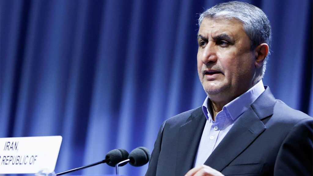 Iran Nuclear Chief Slams IAEA as Taken Captive, Exploited By Zionists