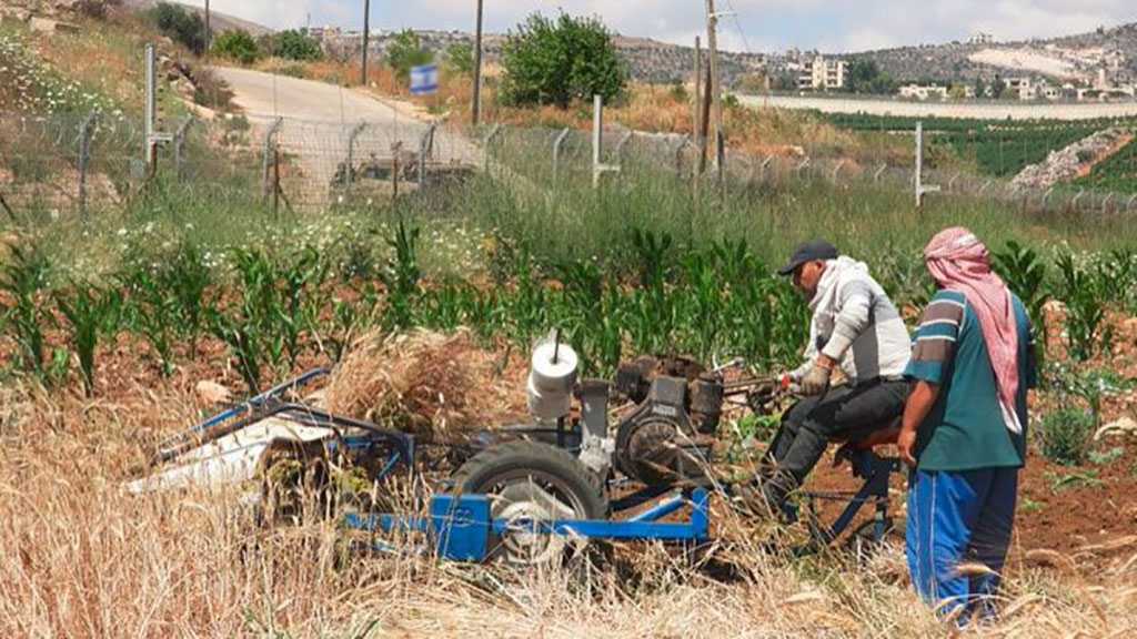 Zionist Soldiers Open Fire at Farmers in Khiam, South Lebanon