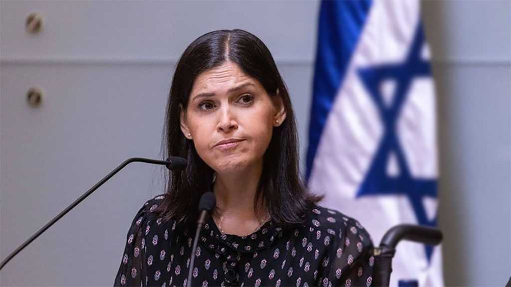 ‘Israel’ Working to Solve Dispute on Maritime Borders with Lebanon, ‘Energy Minister’ Claims