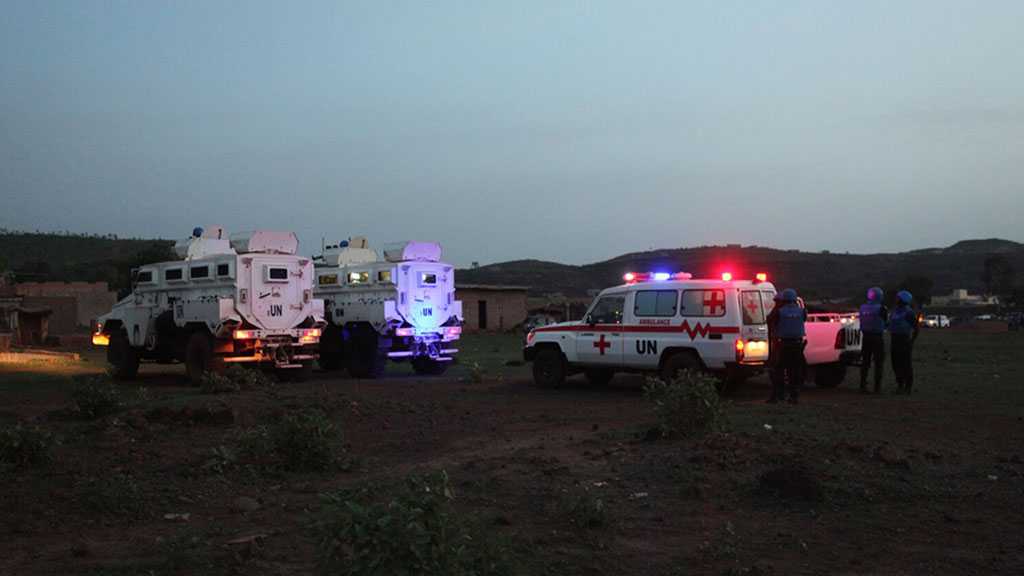 Egypt To Suspend Role in UN Peace Operations in Mali