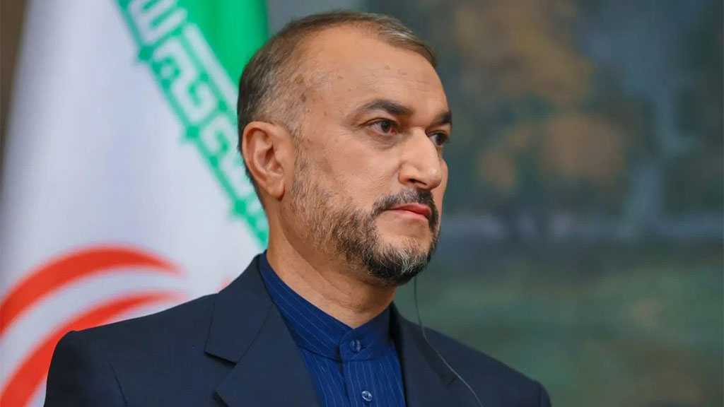 Economic Diplomacy, Boosting Neighborly Ties Iran’s Foreign Policy Main Priorities - FM
