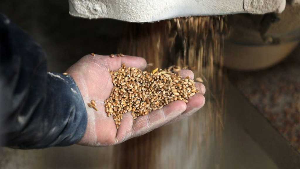 World Bank: Food Prices Soaring in Developing World Amid Ukraine Crisis
