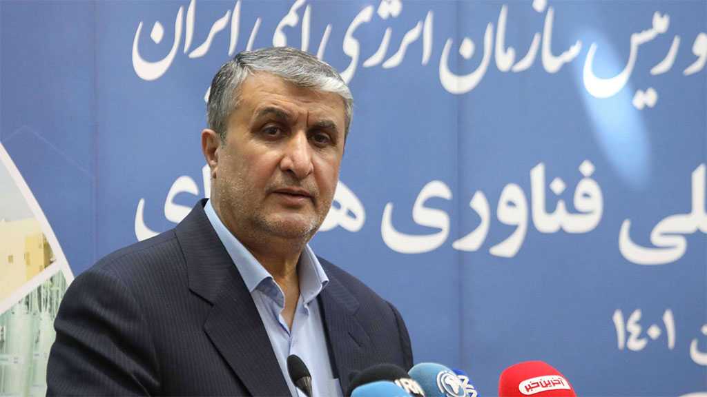 Iran to Unveil Food Irradiation Machine - Nuclear Chief