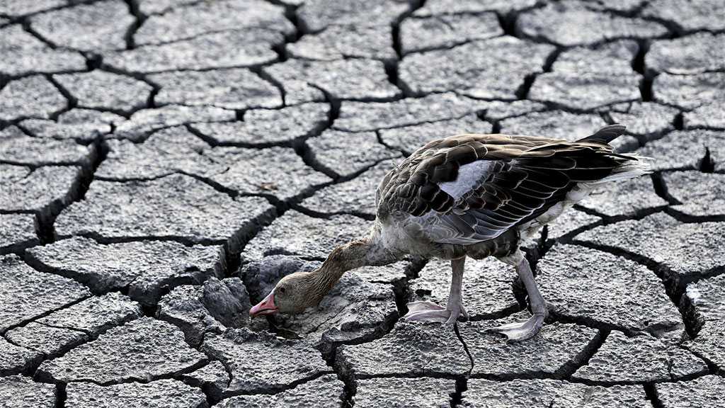 EU Suffering Worst Drought in 500 Years