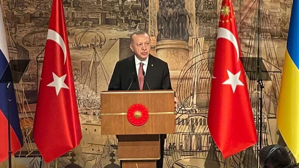 Turkish Media: Turkey to Make Another Push for Peace in Ukraine