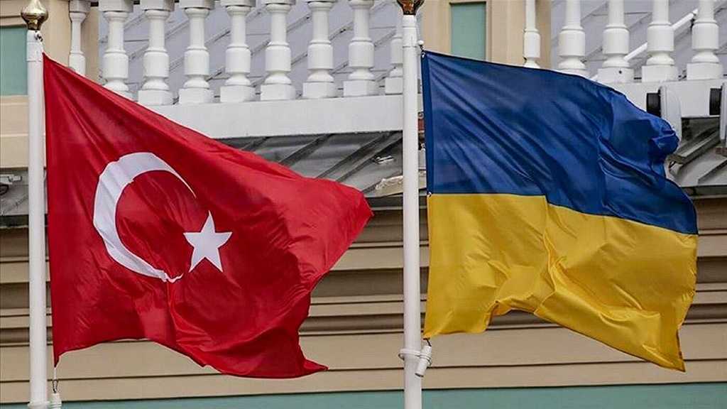 Media: Ankara Angered by Anti-Turkish Campaign in Ukraine