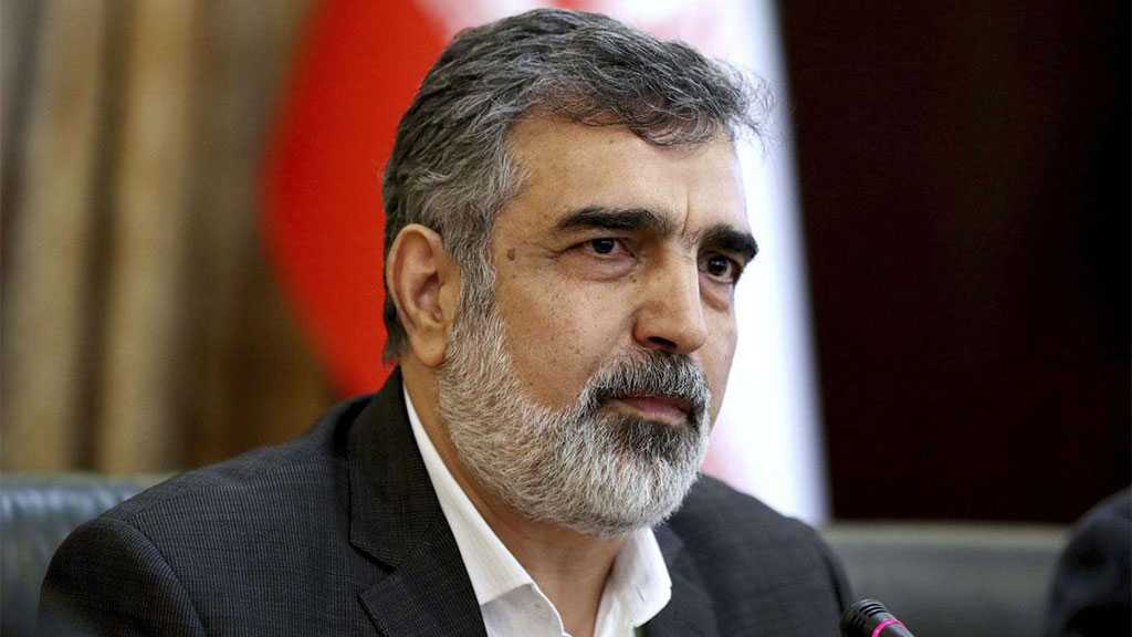 Iran Cooperated with IAEA on Three Alleged Sites Before - AEOI