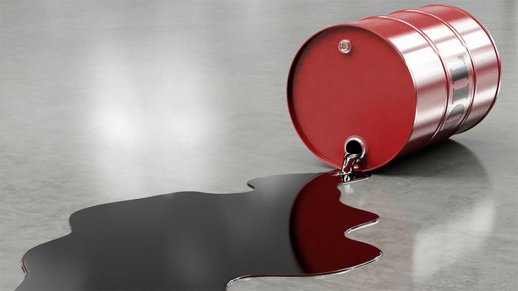 G7 Not Big Enough to Dictate Russian Oil Price – World Bank