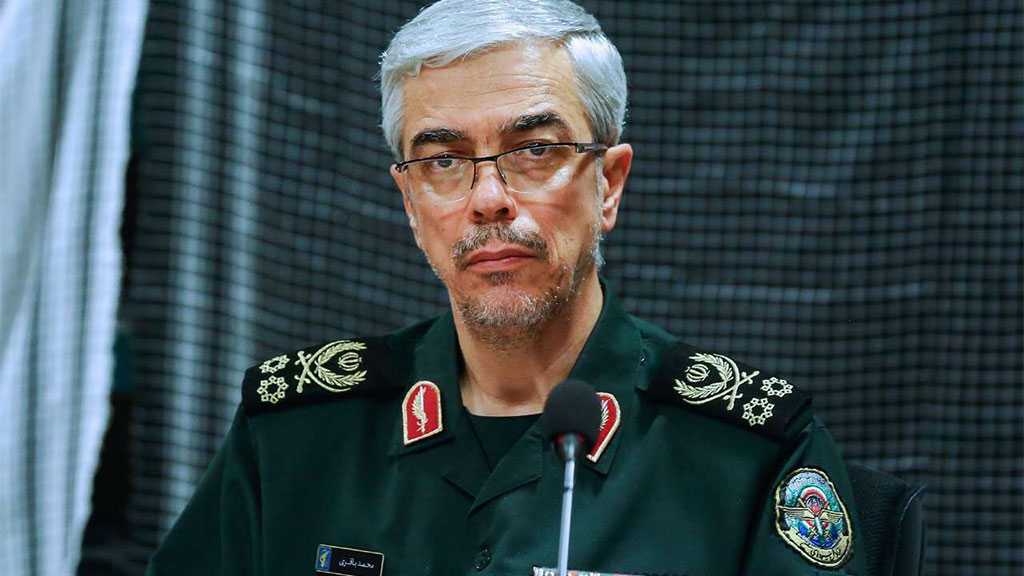 Iran Offers to Help Iraq in Defense Industry, Fighting Terrorism