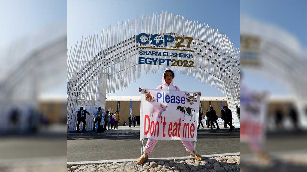 Report: Global South Needs $2tn A Year to Fight Climate Crisis