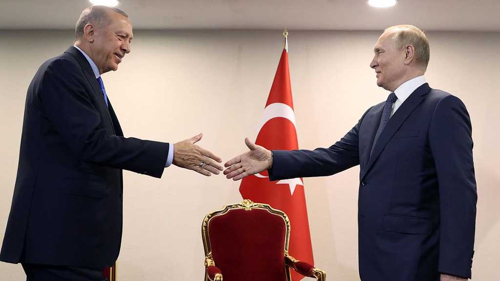 Erdogan Talks to Putin: Ukraine, Grain Deal on Top