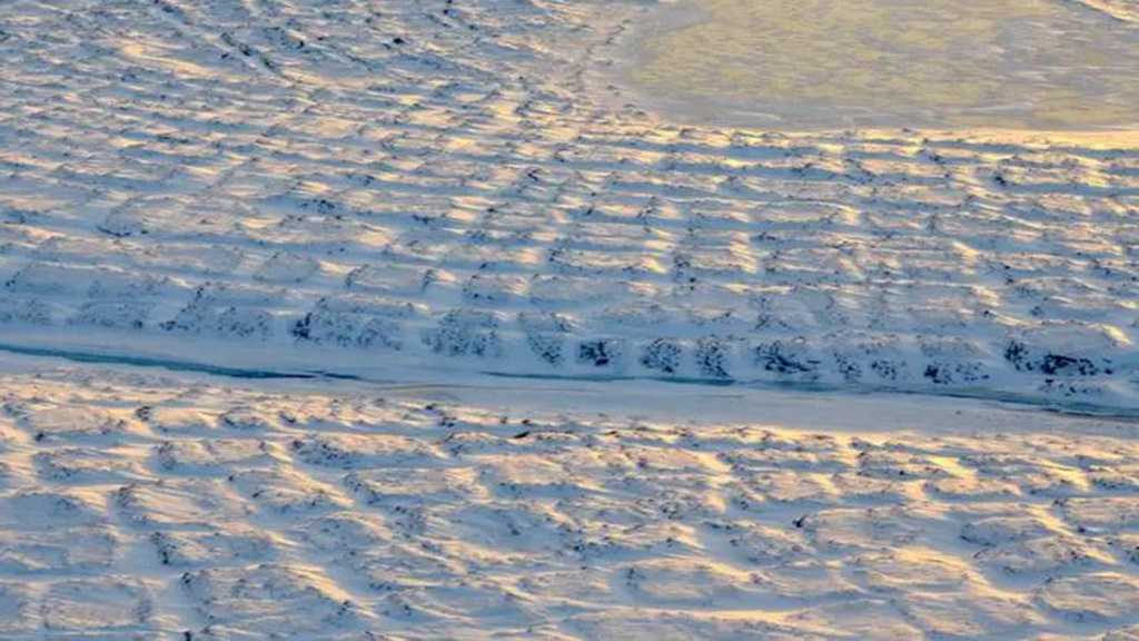 Scientists Revive 48,500-Year-Old Virus