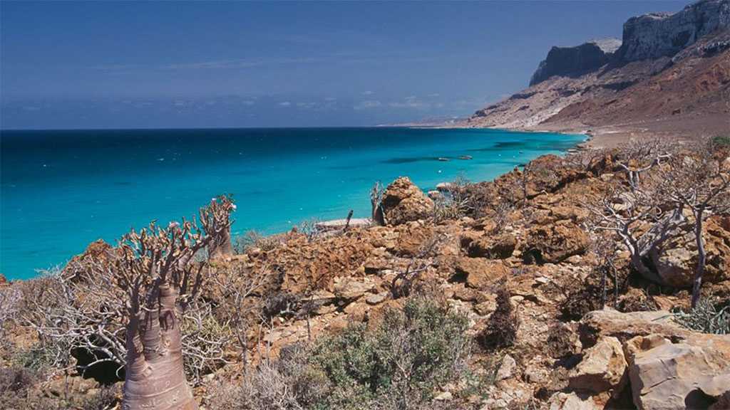 Yemeni Forces Prepared to Thwart US, ‘Israeli’ Plots Against National Resources, Islands