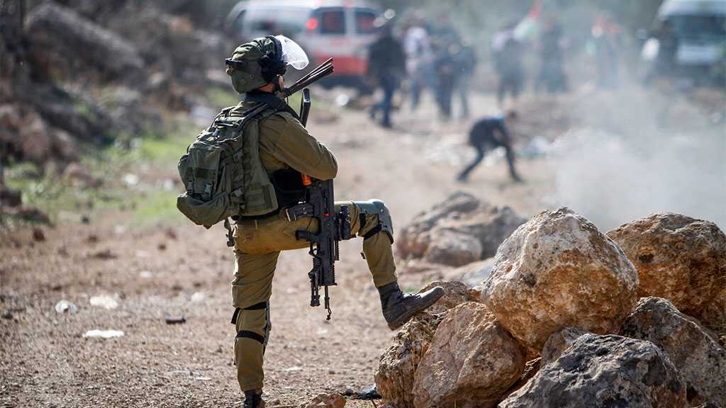 Former Military Adviser Warns Against ‘Israeli’ Government Planned Moves in West Bank