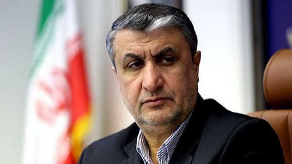 Iran Urges IAEA Chief to Behave Professionally, Not Be Part of Pressure Campaign