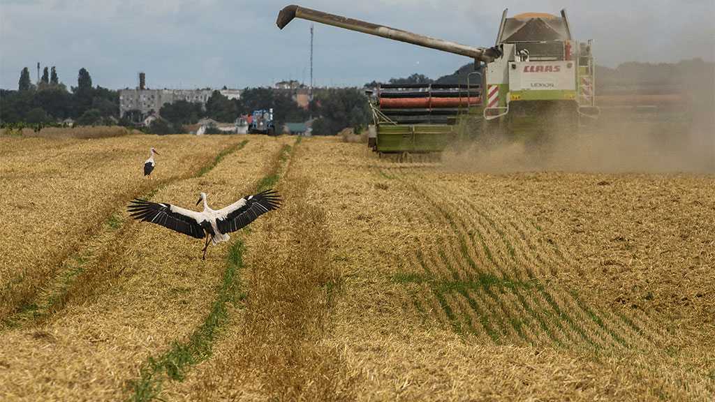 Ukraine Grain Deal Renewed - Official