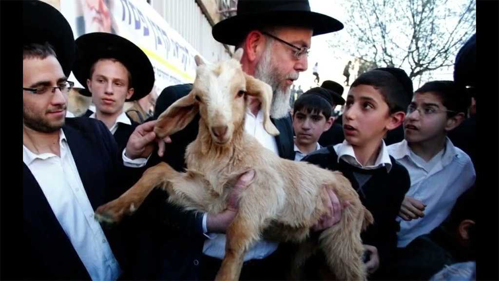 ‘Israel’ Urges Settlers to Desecrate the Holy Aqsa Mosque Compound