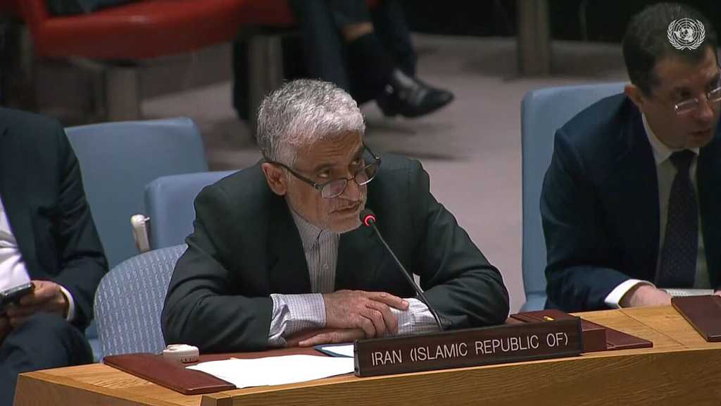 Iran to Take Measures to Protect Forces, Interests - Envoy