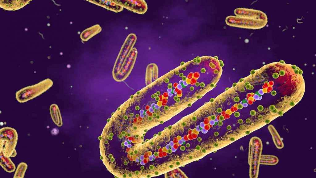 US CDC Warns Doctors to Look Out For ’Ebola-like’ Marburg Virus