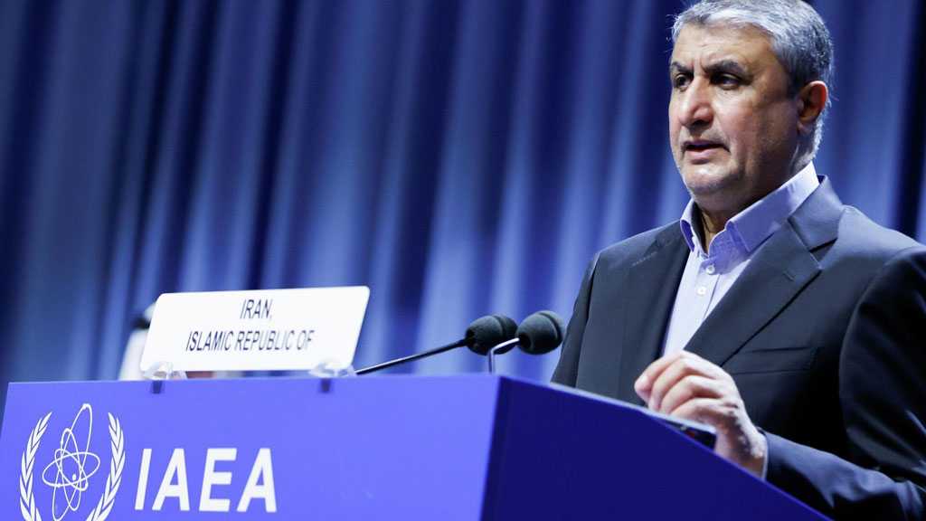 Human Lives Are of No Value to Western Gov’t - Iran Nuclear Chief