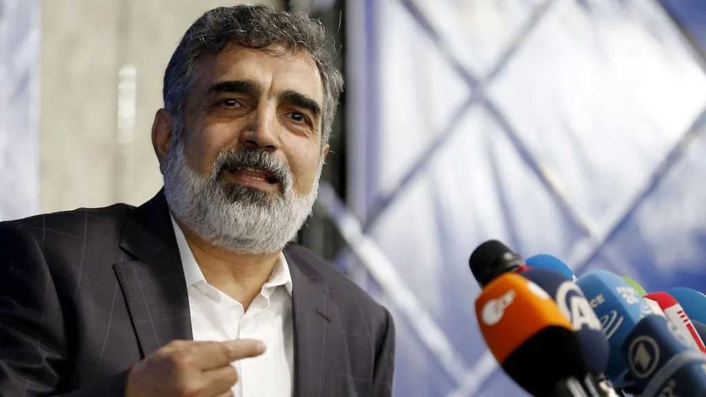 Official Says US Tried to Buy Heavy Water from Iran, Touts Peaceful Use of Nuke Tech