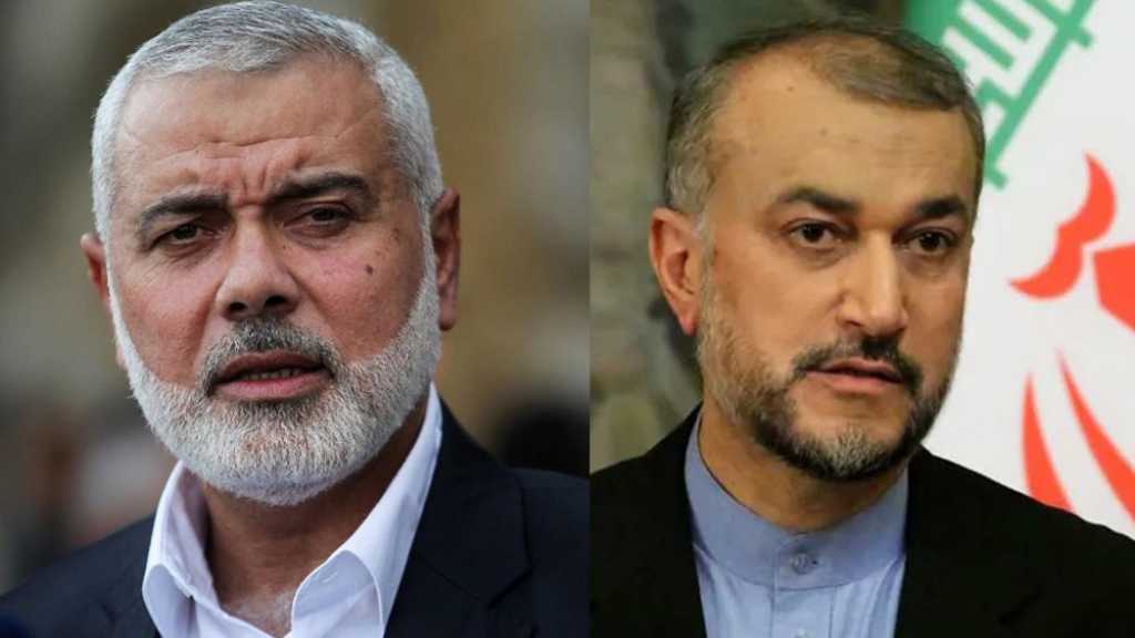 Iranian FM: Iran Will Continue Spiritual, Political Support for Palestinian People, Resistance Groups