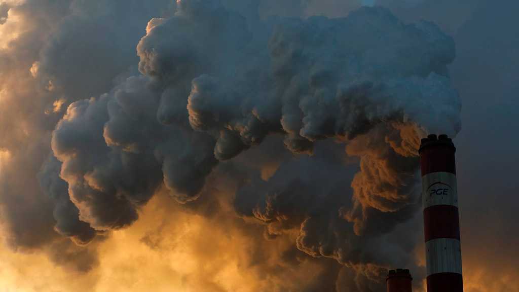 EU Agency: Air Pollution Kills 1,200 Children A Year