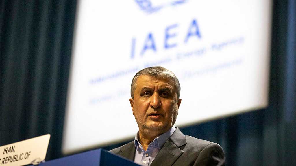 Iran Nuclear Chief: IAEA Not Negotiating Party in JCPOA Revival Talks