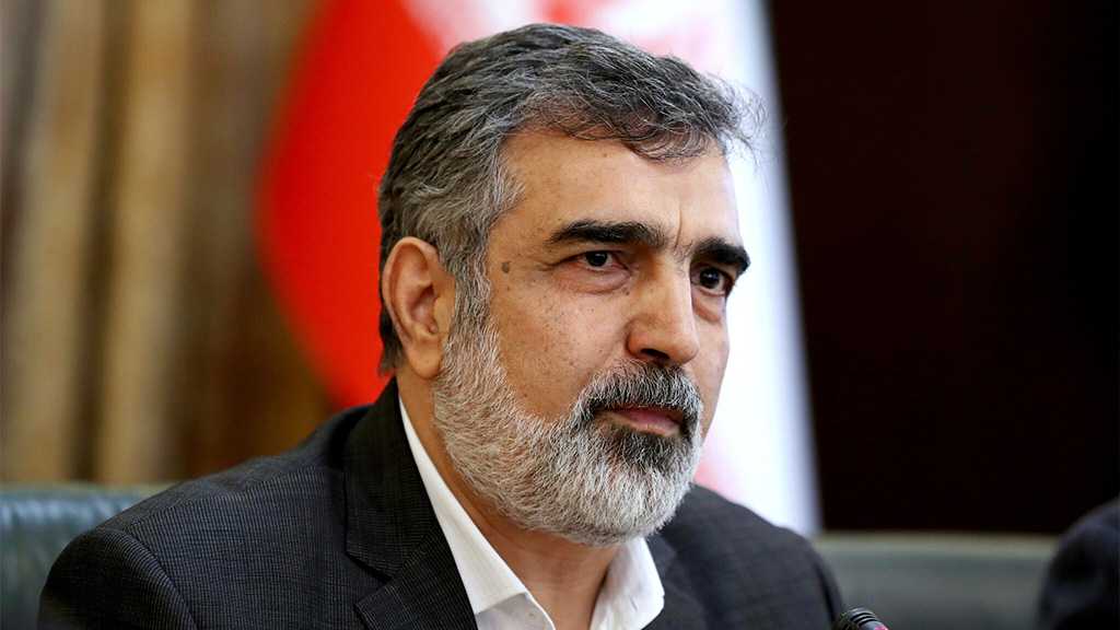 Threats Against Iran’s ‘Indigenized’ Nuclear Industry Meaningless – AEOI Spokesman