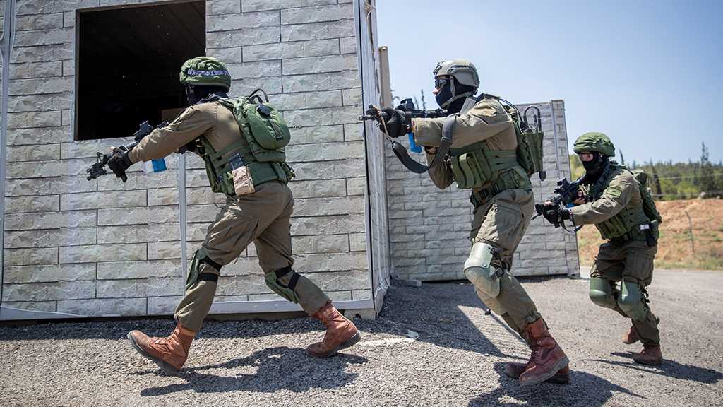 IOF Creates New Unit to Multiply Its Iranian Target Bank
