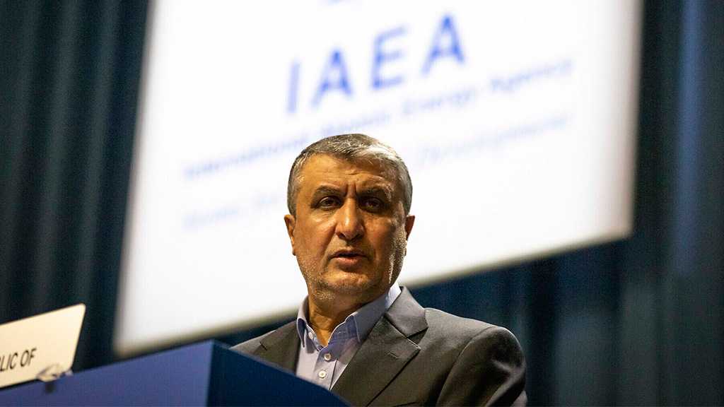 Iran Recorded 159 Nuclear Achievements Last Year Despite US Bans