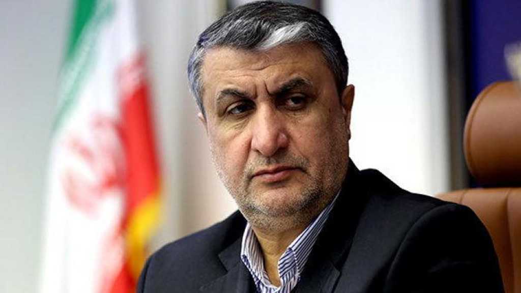 Nuke Chief: Iran Emerging as Hub of Radiopharmaceuticals