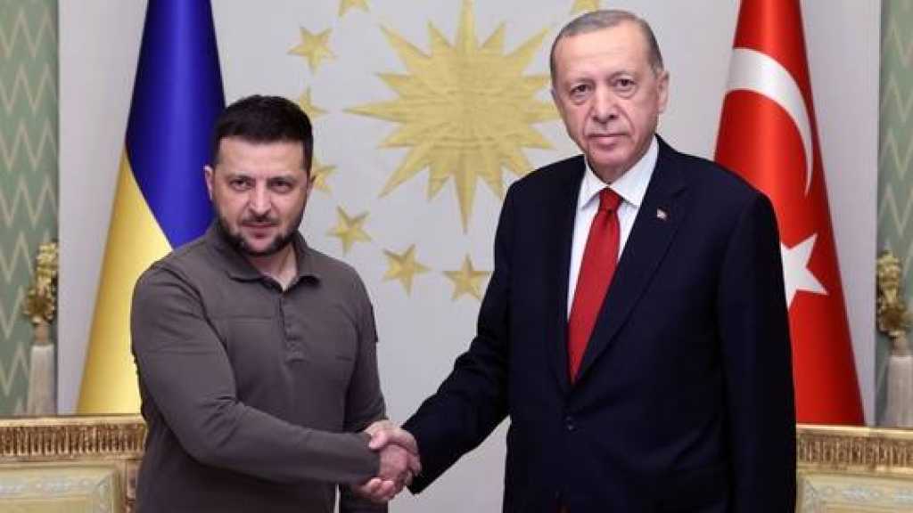 Turkey: Ukraine Deserves NATO Membership