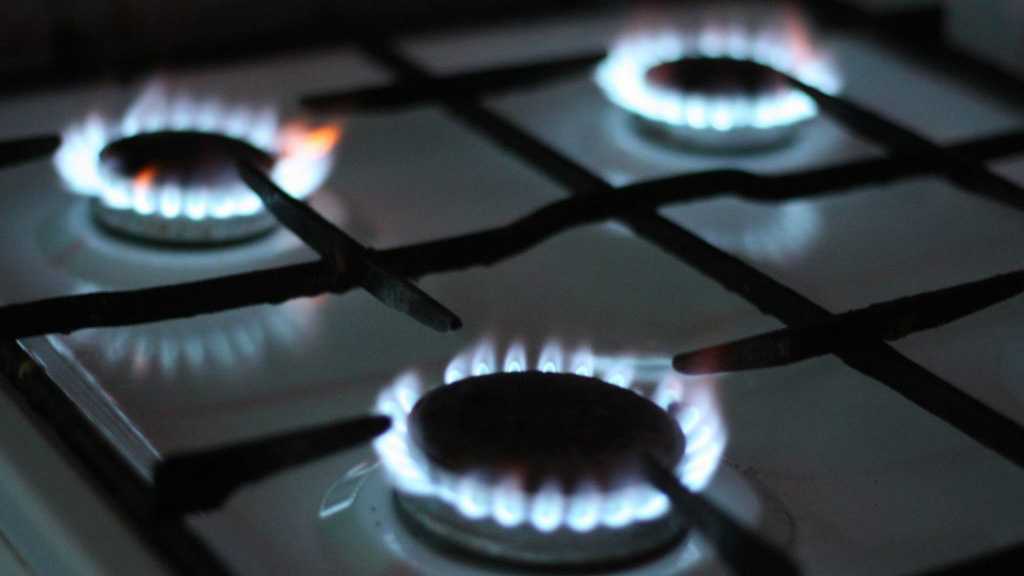 Report: EU Countries Cut Gas Consumption