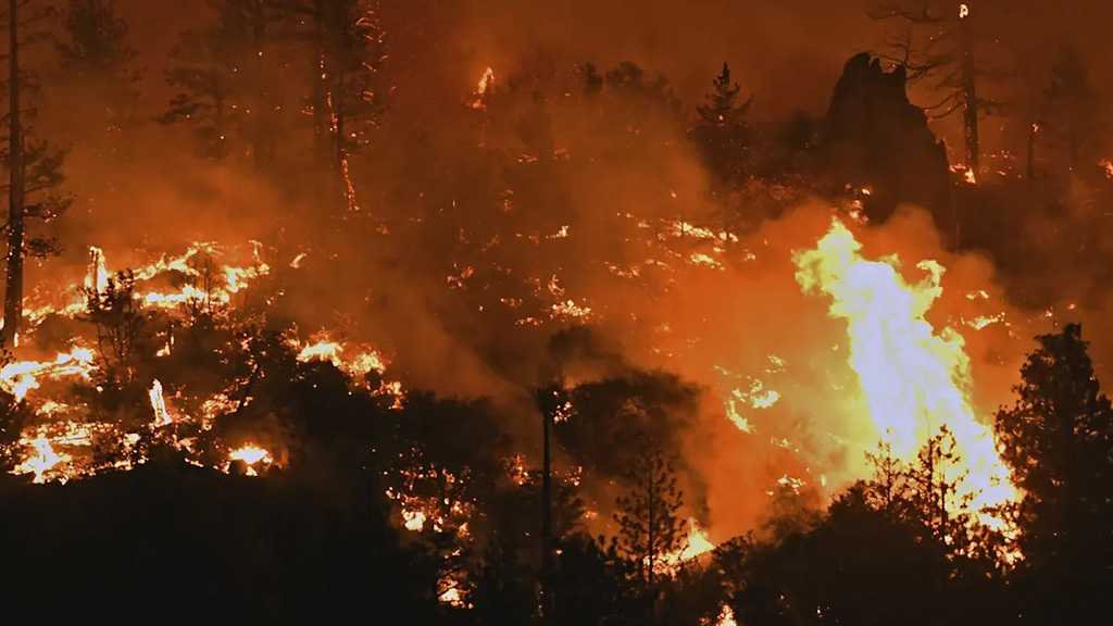 Extreme Heat Bringing Death, Destruction Across the Globe