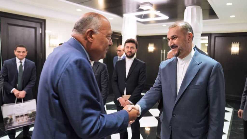 Meeting between Top Iranian, Egyptian Diplomats ’Very Good, Positive’