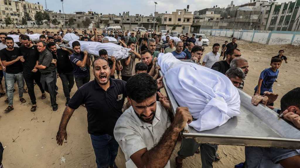 EU to Establish Humanitarian Air Corridor to Gaza