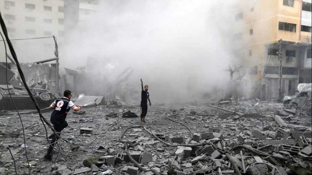 European Leaders Urge a Cease Fire in Gaza: We’re Losing Credibility