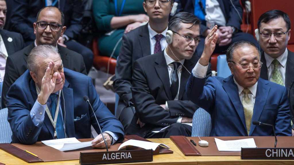 Russia, China Veto US-Drafted UN Resolution on Gaza