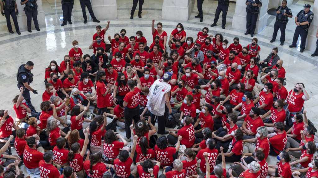 US: Activists Arrested by Police during Gaza War Protest