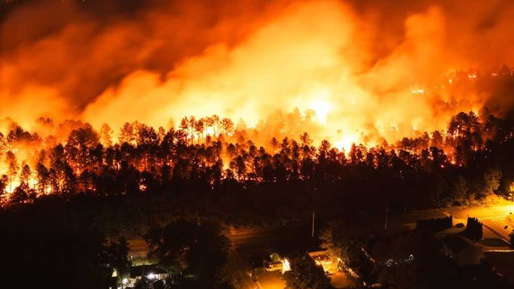 US: New Jersey Wildfire Forces Thousands to Evacuate