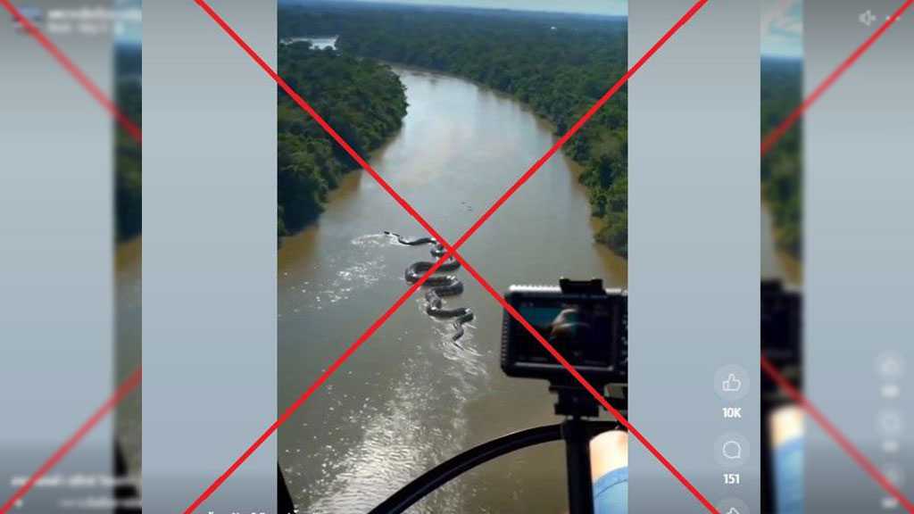 Viral Giant Anaconda Video Debunked as AI-Generated Hoax