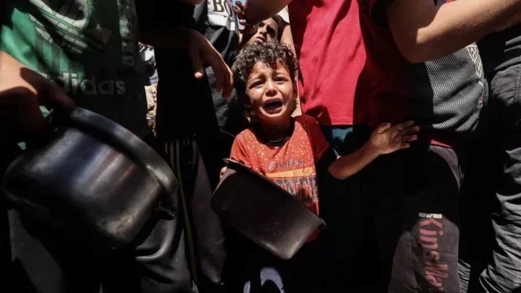 Head of US’ Gaza Aid Group Quits over Humanitarian Concerns